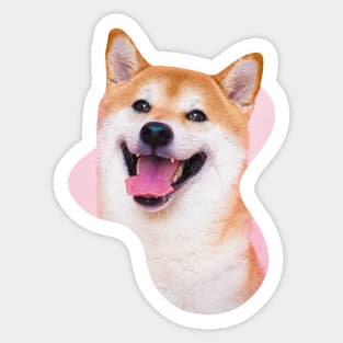 pink shiba inu dog Sticker